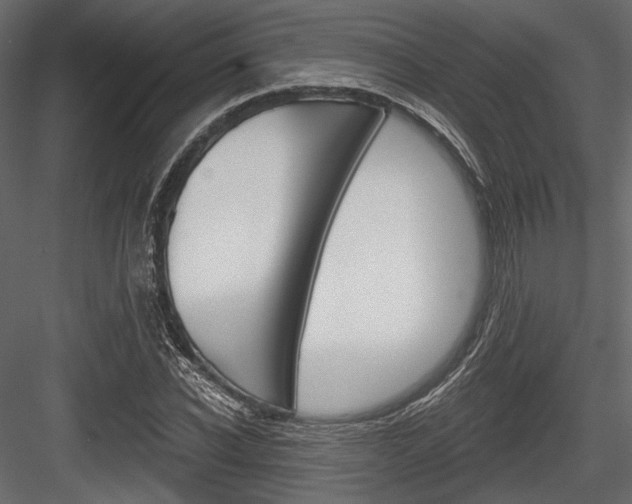 X0000084600926200702231032