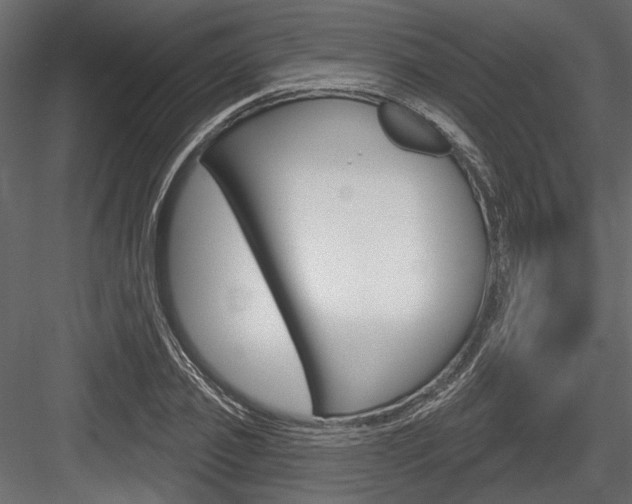 X0000084600933200702231032