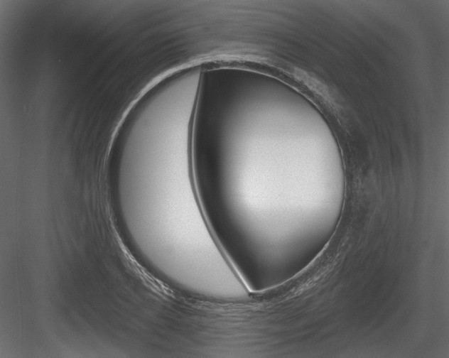 X0000084600934200702231032
