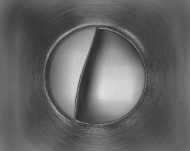X0000084600935200702231032