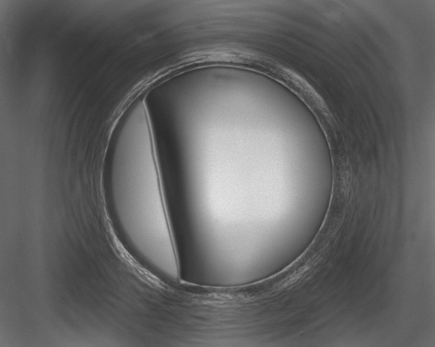X0000084600938200702231032