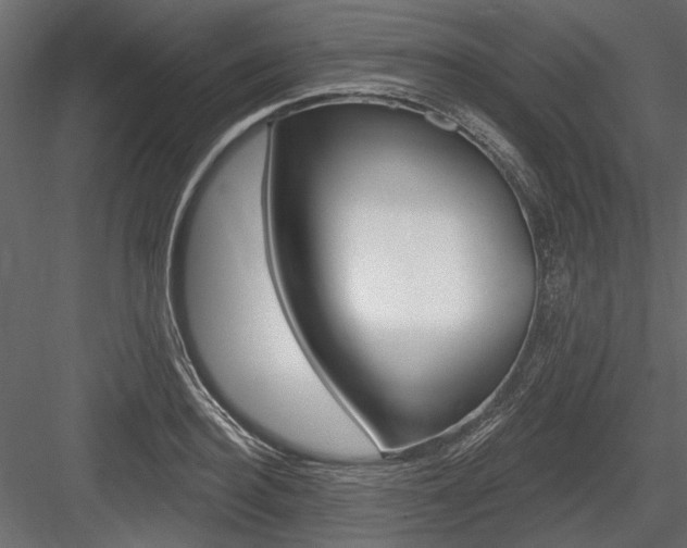 X0000084600940200702231032