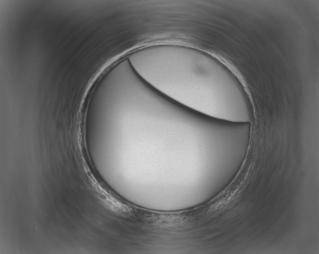 X0000084600941200702231032