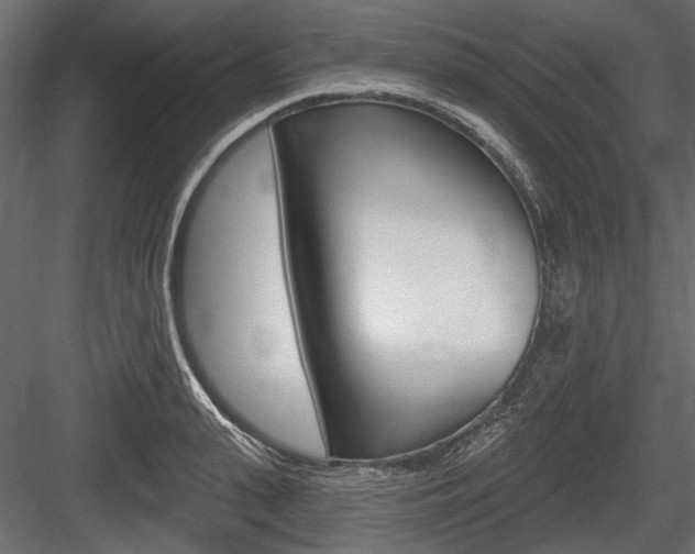X0000084600943200702231032
