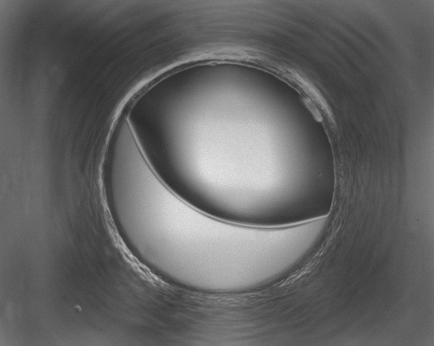 X0000084600944200702231032