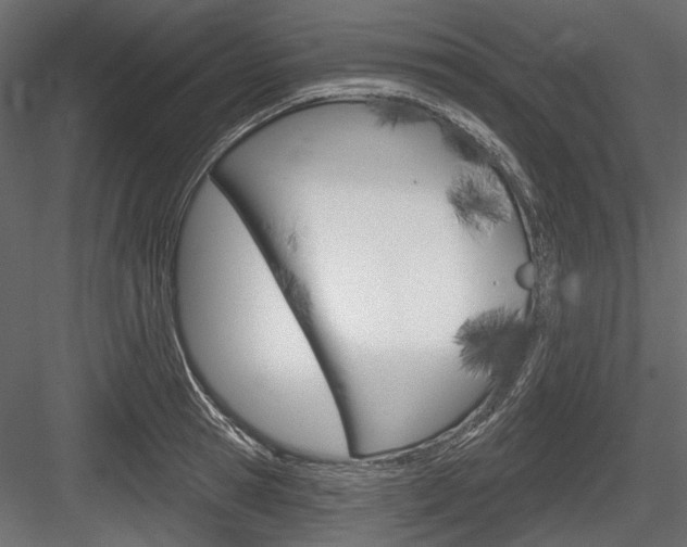 X0000084600945200702231032