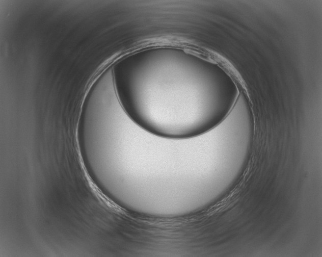 X0000084600946200702231032