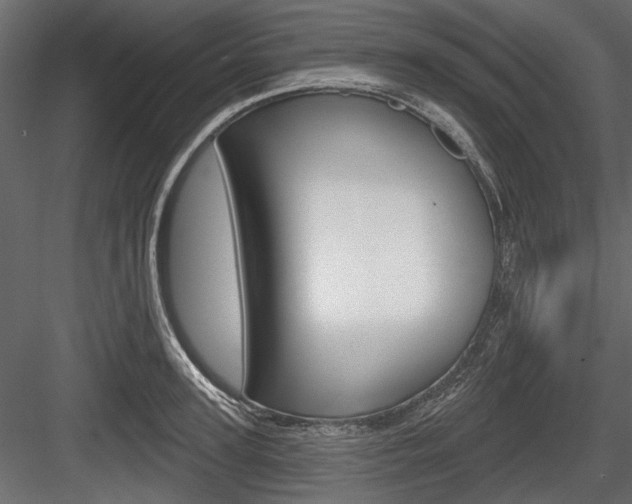 X0000084600947200702231032