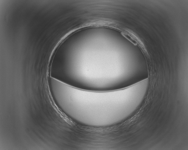 X0000084600948200702231032