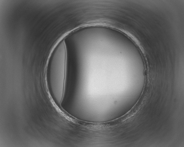 X0000084600949200702231032