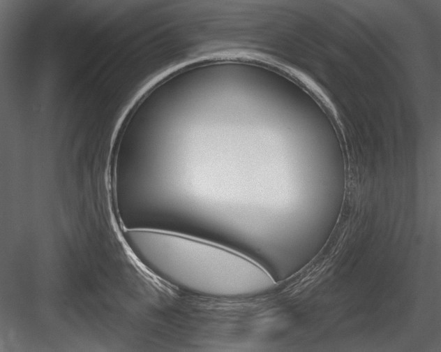 X0000084600951200702231032