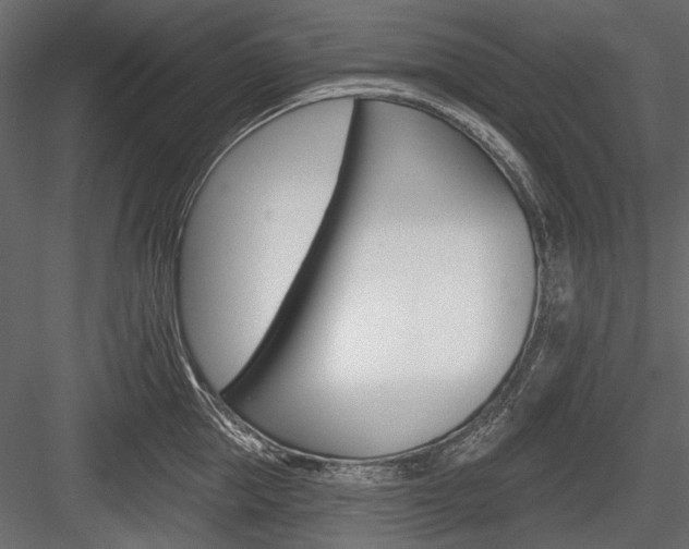 X0000084600953200702231032
