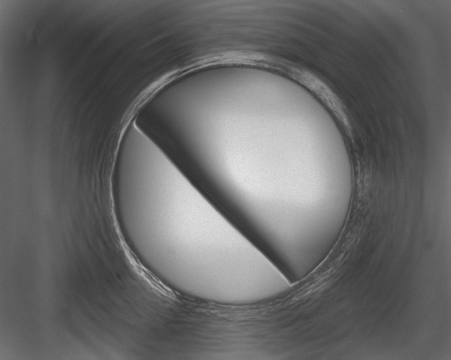 X0000084600954200702231032