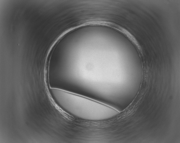X0000084600955200702231032