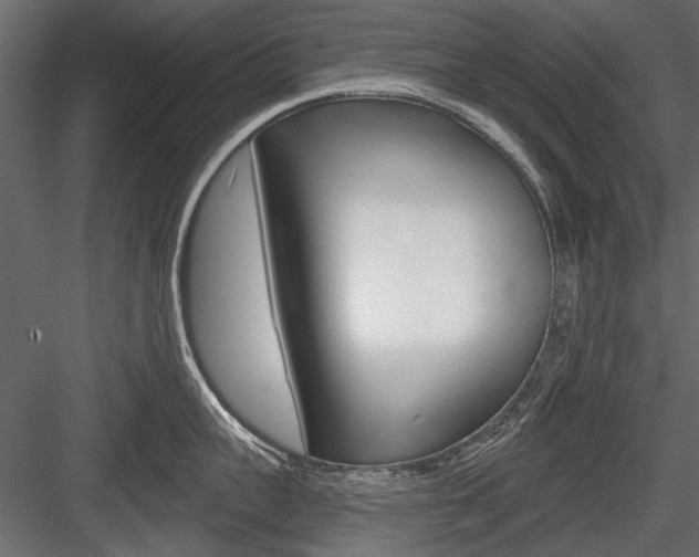 X0000084600959200702231033