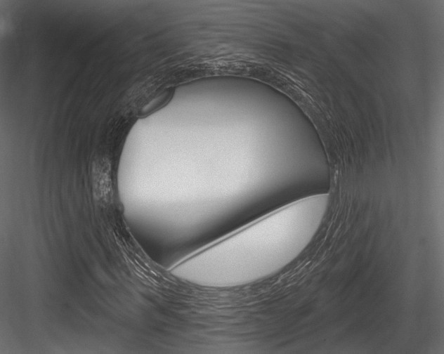 X0000084600963200702231032