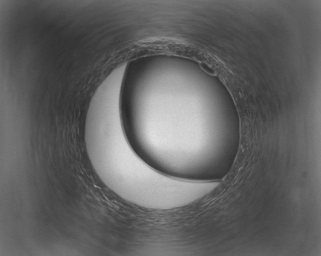 X0000084600965200702231032