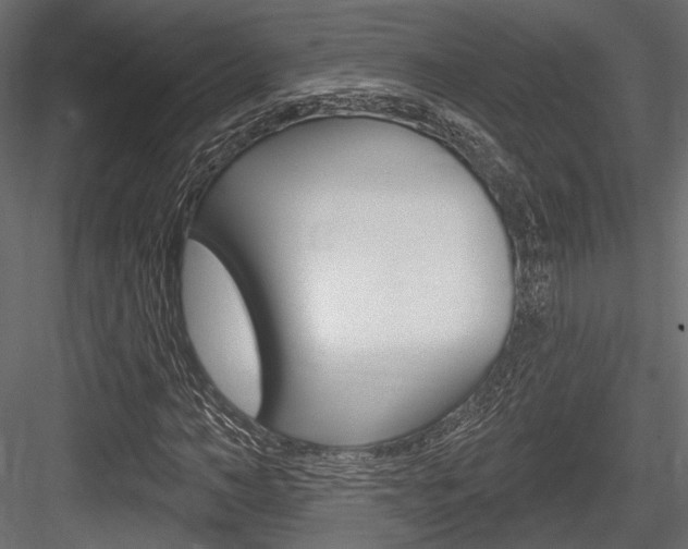 X0000084600966200702231032