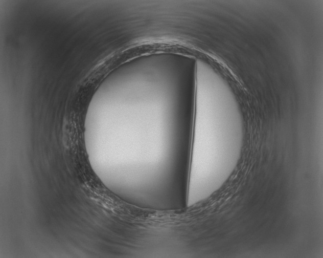 X0000084600967200702231032