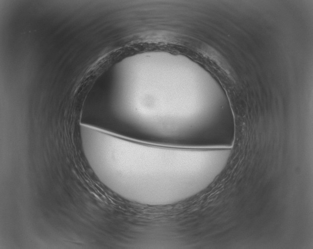 X0000084600968200702231032