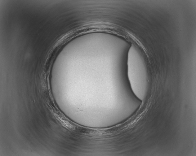 X0000084600970200702231032