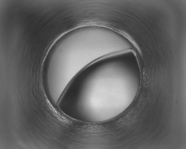 X0000084600972200702231032