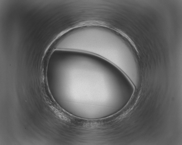 X0000084600973200702231032