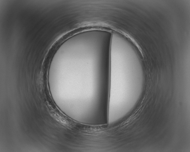X0000084600975200702231031