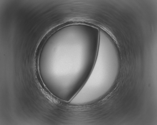 X0000084600976200702231031
