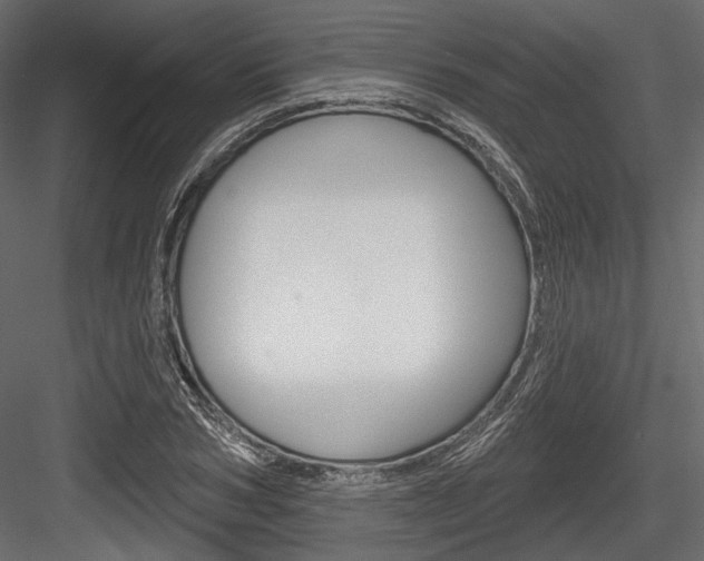 X0000084600978200702231031