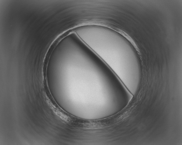 X0000084600980200702231031