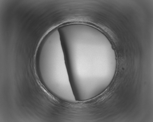 X0000084600982200702231031