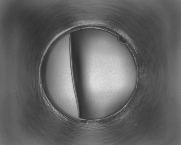 X0000084600983200702231031
