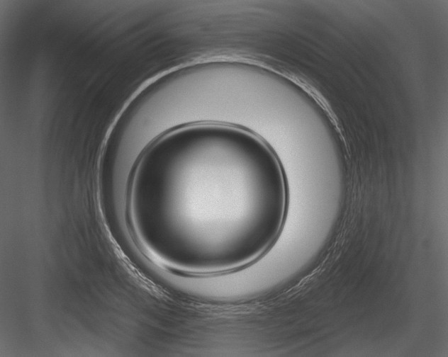 X0000084600984200702231031