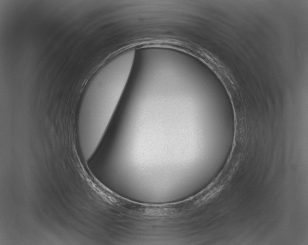 X0000084600985200702231031