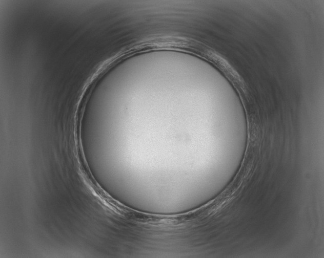 X0000084600986200702231031