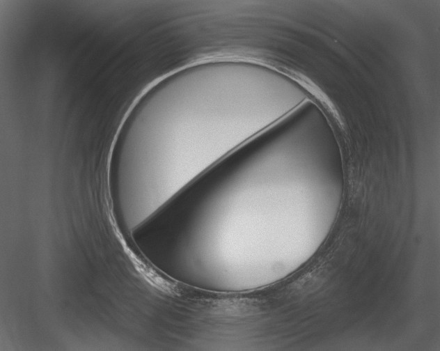X0000084600988200702231031