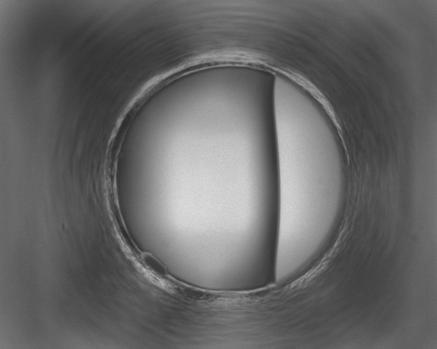 X0000084600989200702231031