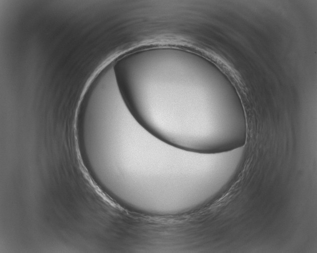X0000084600990200702231031