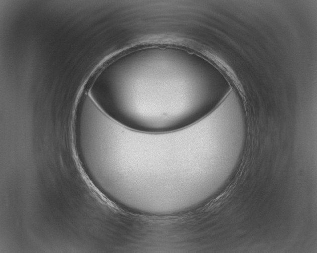 X0000084600992200702231031
