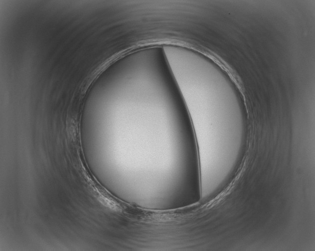 X0000084600993200702231031