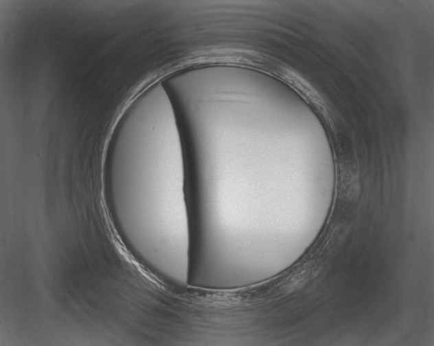 X0000084600994200702231031