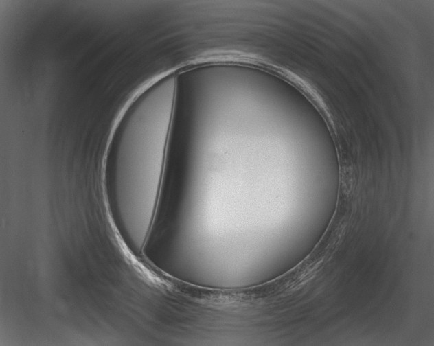 X0000084600995200702231031
