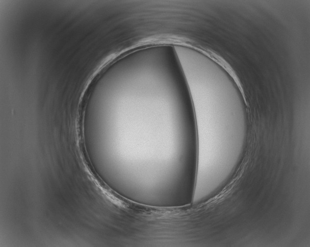 X0000084600997200702231031