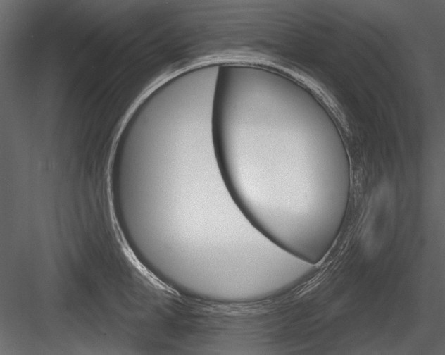 X0000084600998200702231031
