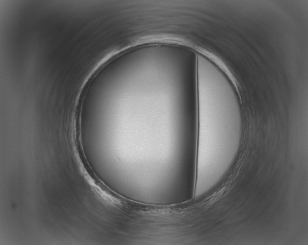 X0000084600999200702231031