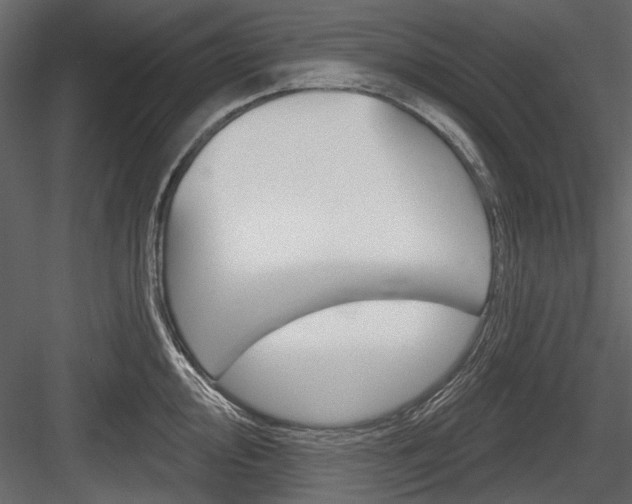 X0000084601000200702231031