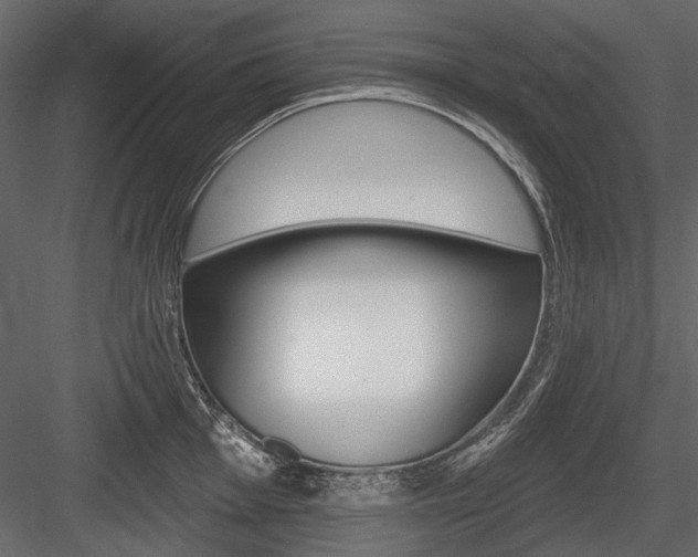 X0000084601001200702231031