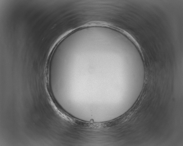X0000084601003200702231031
