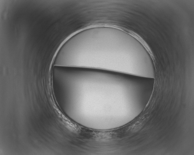 X0000084601004200702231031